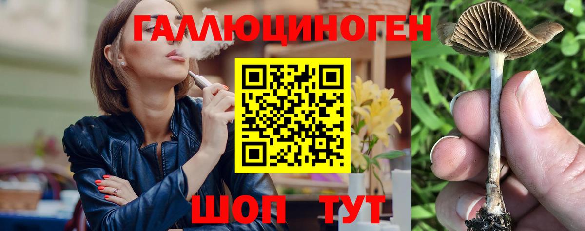 Псилоцибиновые грибы мицелий Сунжа